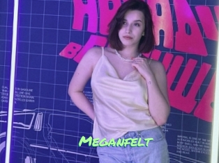 Meganfelt
