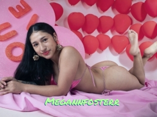 Megannfosterr