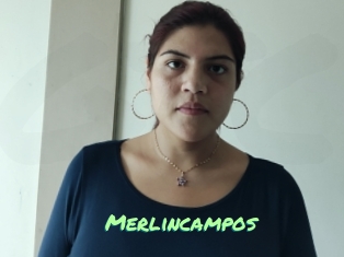 Merlincampos