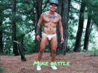 Mike_castle