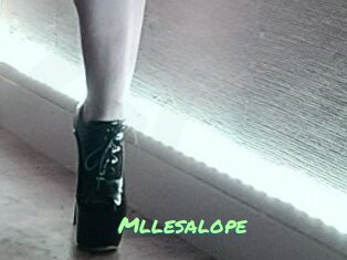 Mllesalope