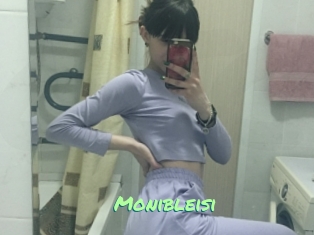 Monibleisi
