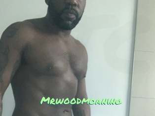 Mrwoodmoaning