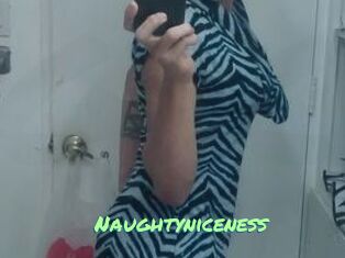 Naughtyniceness
