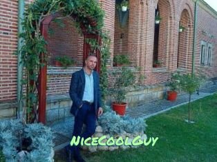 NiceCoolGuy
