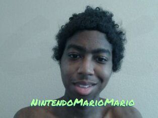 NintendoMarioMario