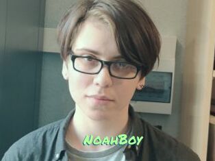 NoahBoy