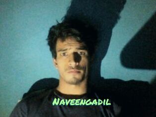 Naveengadil