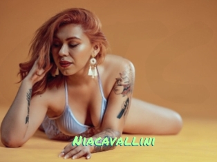 Niacavallini