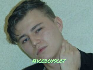 Niceboyscot