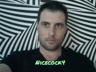 Nicecock4