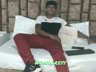 Noahgreyy