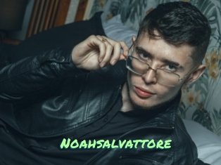 Noahsalvattore