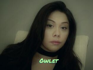 _Owlet_