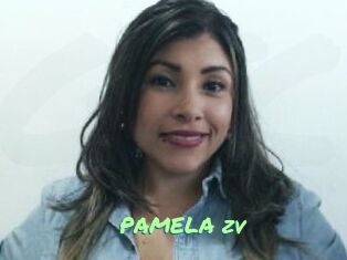 PAMELA_zv