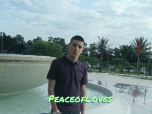 PeaceofLoves