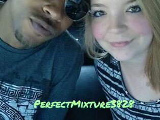 PerfectMixture3828