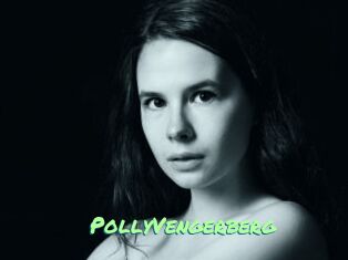PollyVengerberg
