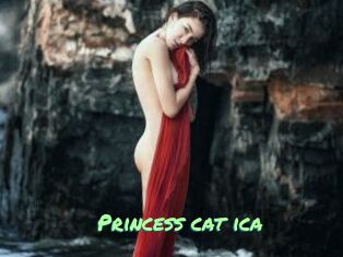 Princess_cat_ica