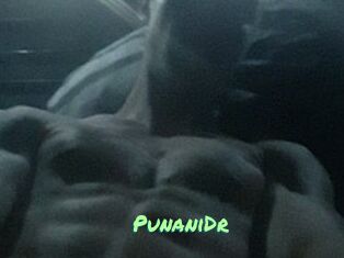 PunaniDr