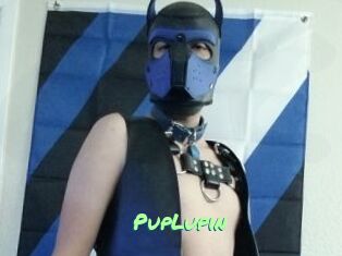 PupLupin