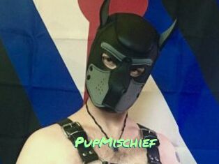 PupMischief