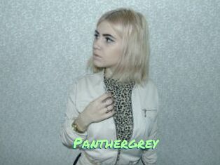 Panthergrey