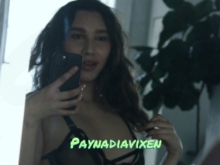 Paynadiavixen