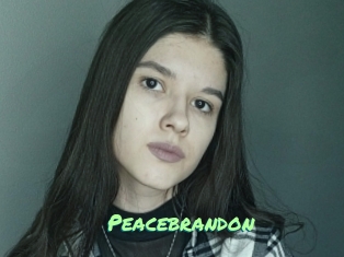 Peacebrandon