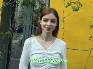 peacefenning Gothicorgien