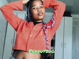 Peanutbug