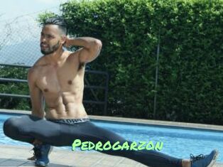 Pedrogarzon