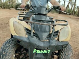 Pewnis