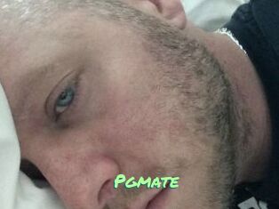 Pgmate