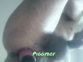 Piggyboy
