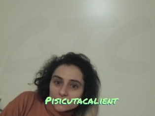 Pisicutacalient