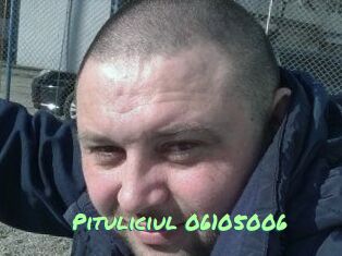 Pituliciul-06105006
