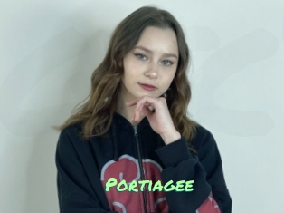 Portiagee