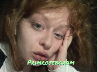 Primroseborom