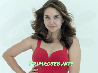 Primrosebunte