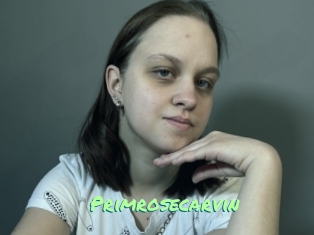 Primrosecarvin