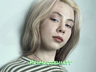 Primrosehiatt
