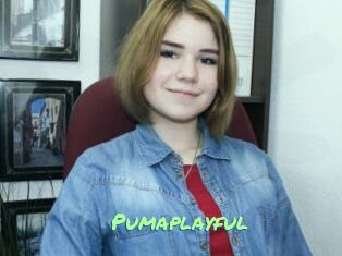Pumaplayful