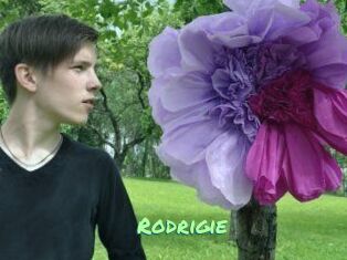 Rodrigie