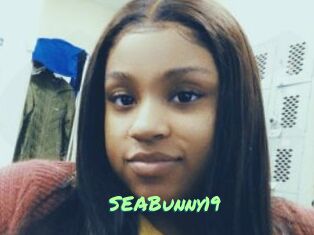 SEABunny19