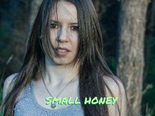 SMALL_HONEY