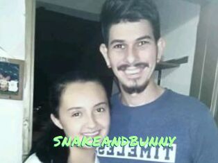 SNAKEANDBUNNY