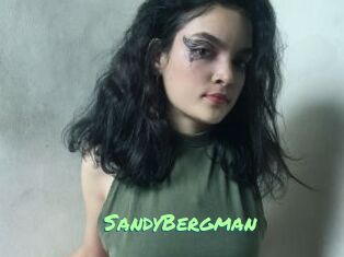 SandyBergman