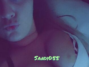 SandyD55