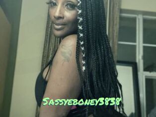 Sassyeboney3838
